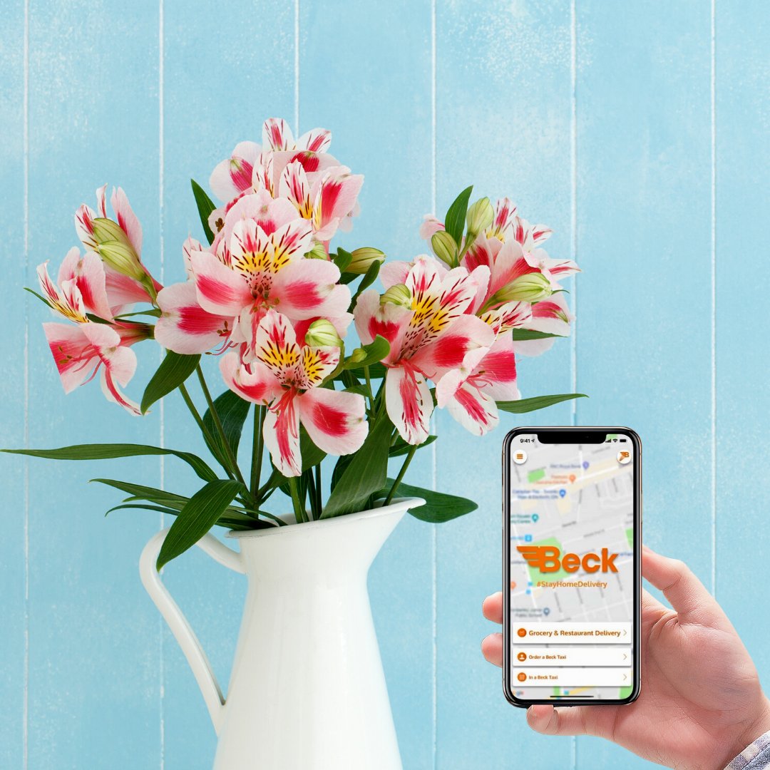 BeckTaxi's tweet photo. #Spring in the air! Kick start the new week with your favourite flowers. Order from your fave flower shop and our drivers will deliver*
#drivenbypeople #supportfrontline #supportsmall #supportlocal #businesstip #internationalwaffleday https://t.co/kIpJLGlu0S