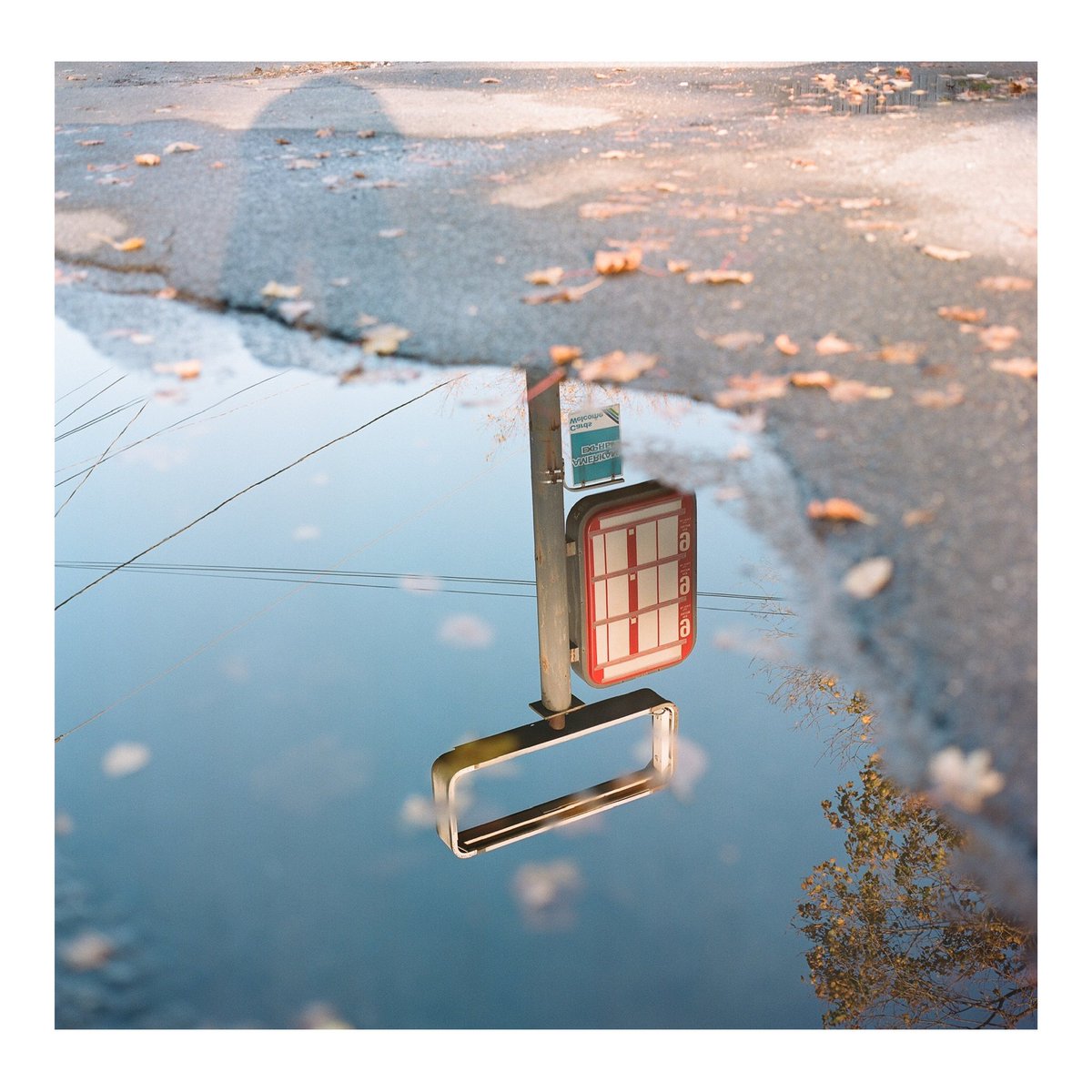bijan's tweet photo. Reflections 

#hasselblad #kodakfilm https://t.co/qFUiBEPrCb