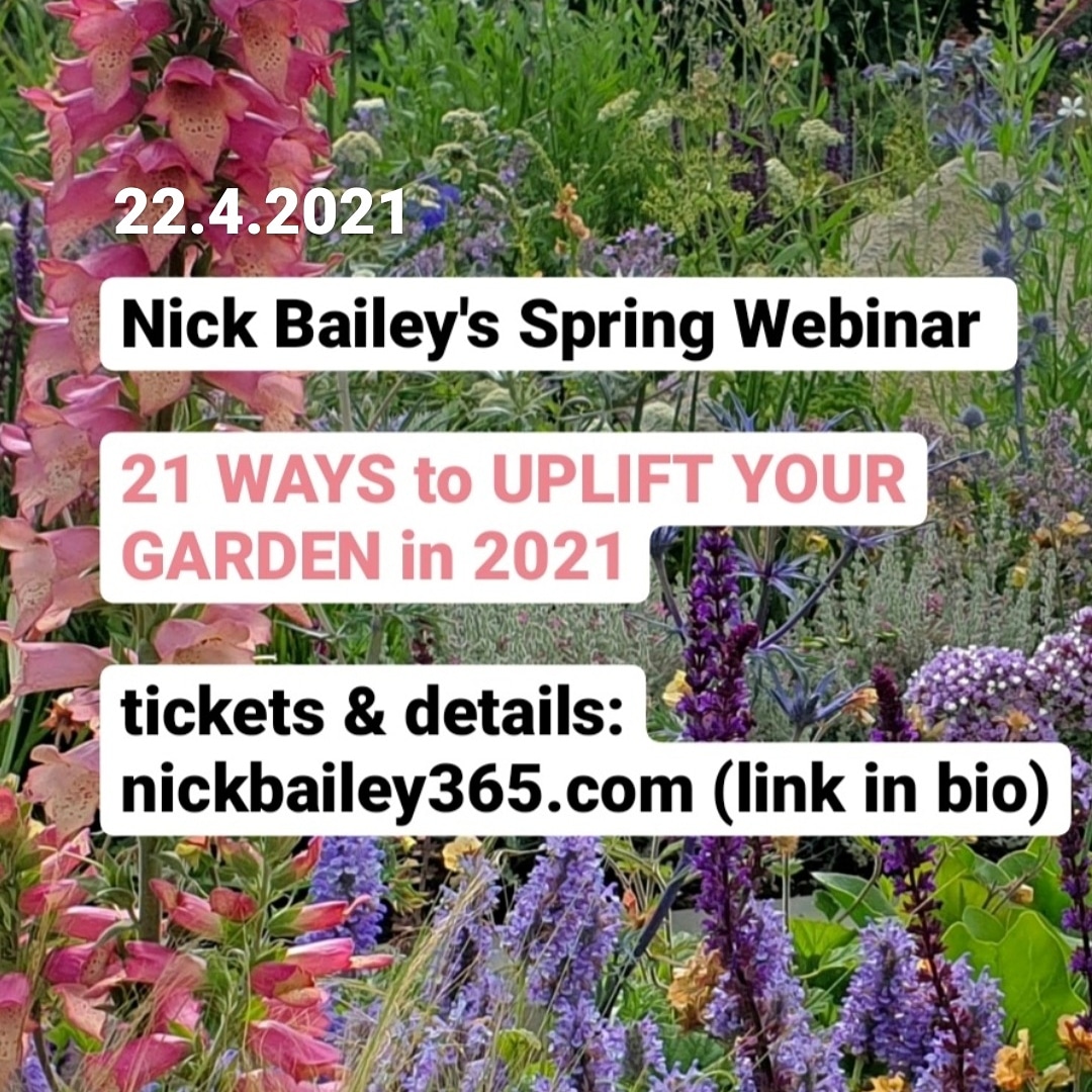 Looking for new plants, planting ideas and achievable projects? Then join me on 22 April for me spring webinar. Details and tickets on my website: nickbailey365.com @NGSOpenGardens @CandideUK @nationaltrust @TeleGardening @gardenclubs @GYOmag