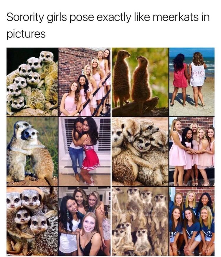 Happy #MuMonday! Hope everyone had a good spring break! Have a meme!