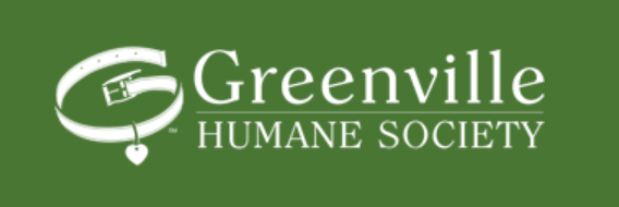FlagshipSC's tweet photo. Move-In Monday 🐶 🐱 🎉🏠: It brings us so much joy to help pets find their forever homes! Greenville Humane Society has some wonderful dogs and cats who are currently looking for their new homes! 

Dogs: https://t.co/YOFwnR8auh
Cats: https://t.co/f0rZxYmWqk https://t.co/yUiE7MNlsc