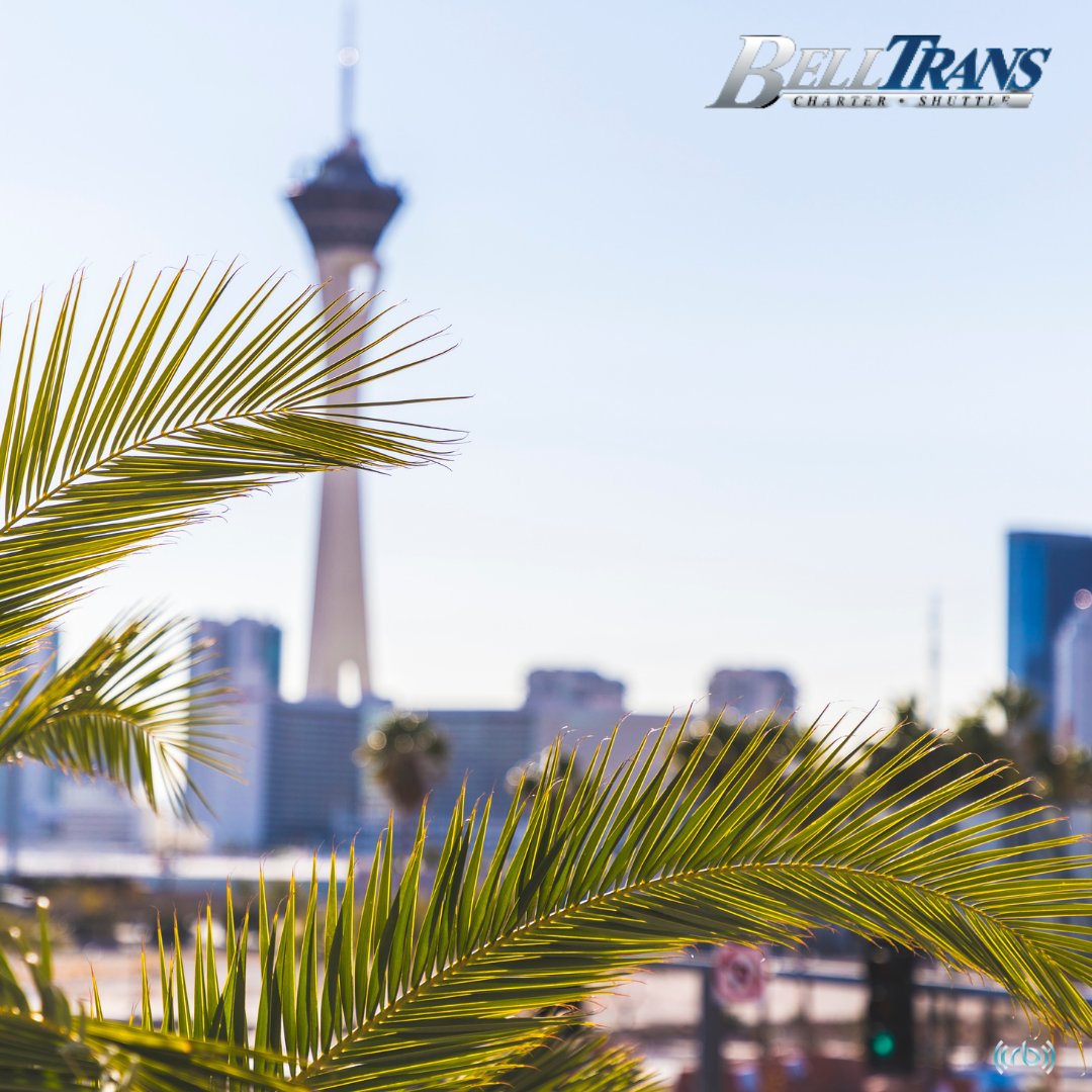 LV_BellTrans's tweet photo. Pre-book for peace of mind!
Ride in comfort with our trusted drivers and reliable service. Enjoy easy-to-book charter vehicles and flexible payment options here: https://t.co/DJ1fydj0nT
#belltranslv #lasvegas #nevada #vegas #travel #limo https://t.co/2nVoV5zPwE
