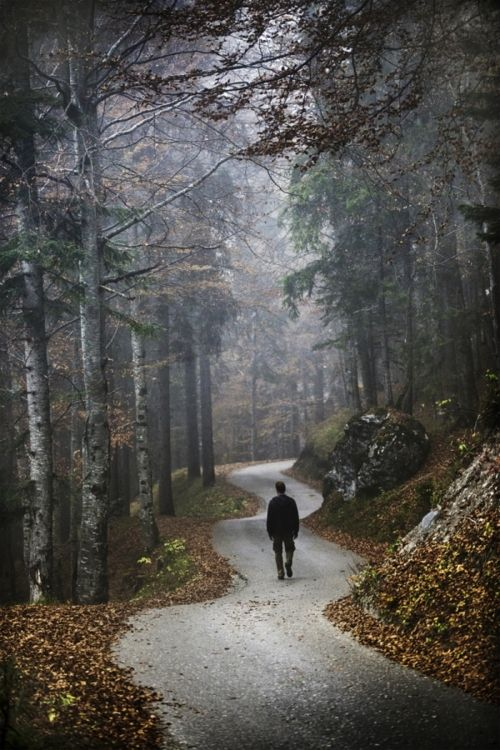 zaxxxppe's tweet photo. #KnutHamson #NativeEurope https://t.co/0TKPA2h2ey