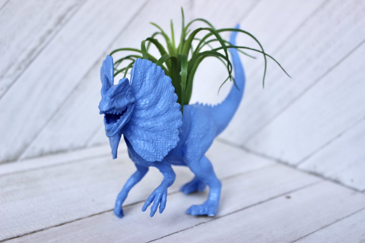 RepurposedT's tweet image. Rawr! Check out this awesome Dino planters!   etsy.com/listing/985863…  #dinosaur #raptor #homedecor #art #planters #succulents #pot #plants #rawr #animalplanter #blue #deskplant #uniquegifts #flowerpots #quirky #dinos #dinosaurart #handmade #supportsmallbusiness
