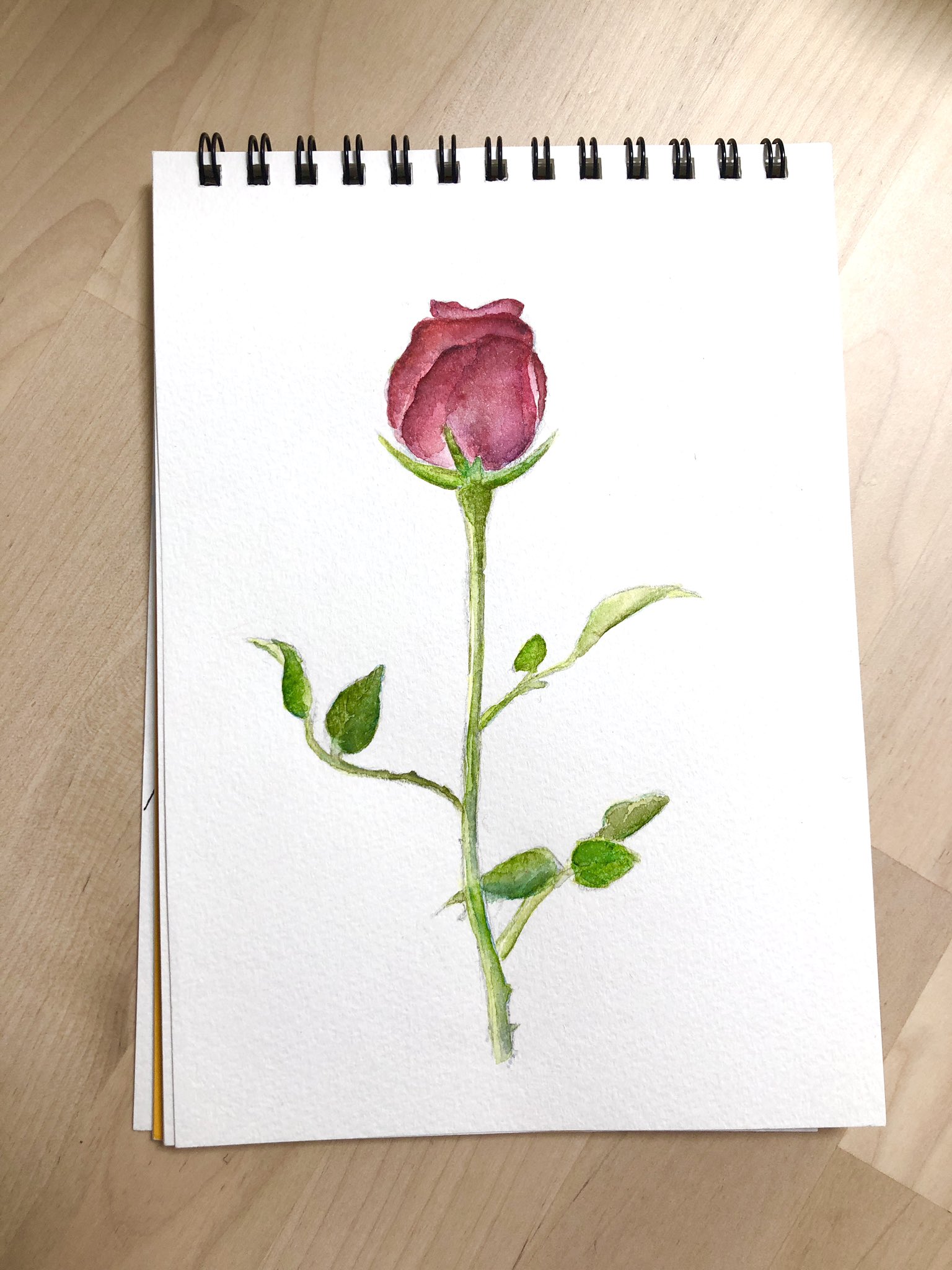 Hatorina バラ なんかちょこちょこ失敗して汚くなったw 水彩は中学以来やからボチボチの出来のはず 言い訳 上達するかな 落書き バラ 薔薇 バラのイラスト アナログイラスト お花のイラスト 要練習 固形水彩 イラスト好きさんと繋がり Hatorina バラ なんかちょこちょこ失敗して汚くなったw 水彩は中学以来やからボチボチの出来のはず 言い訳 上達するかな 落書き バラ 薔薇 バラのイラスト アナログイラスト お花のイラスト 要練習 固形水彩 イラスト好きさんと繋がり