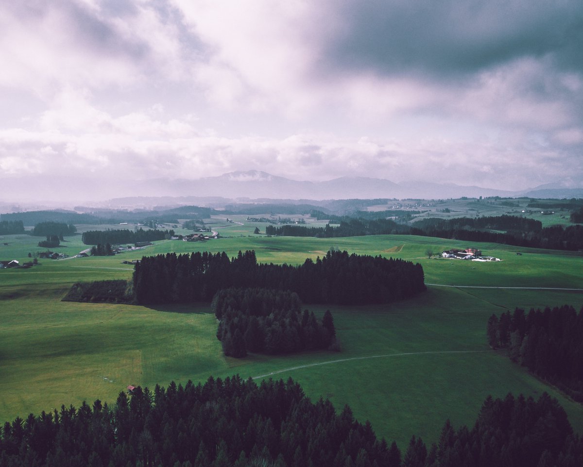 PicnicBank tweet media