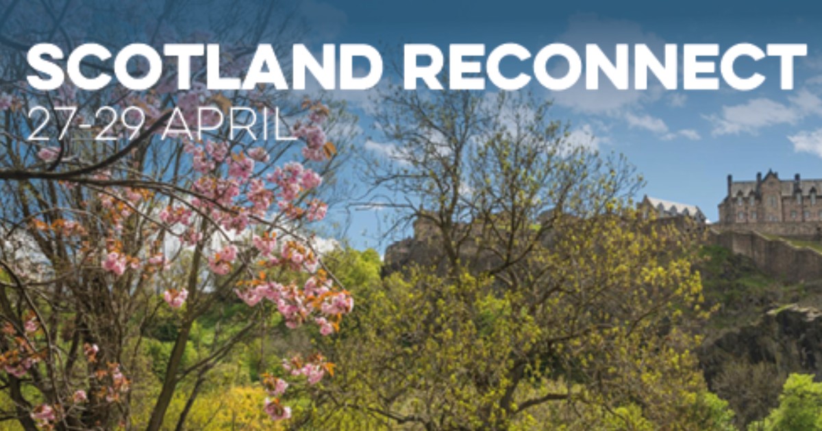 ICMI The Collection tweet media