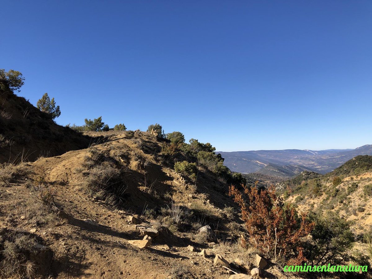 📸 El camí de la coma d’en Gener.
📍 #VilanovaDeMeià, #LaNoguera.