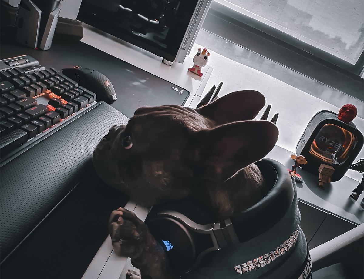 Corsair_BR's tweet photo. Será que essa configuração está boa ou eu deveria colocar mais RGB nesse PC?
#corsairbr #dogsair https://t.co/2PcJtVIxwH