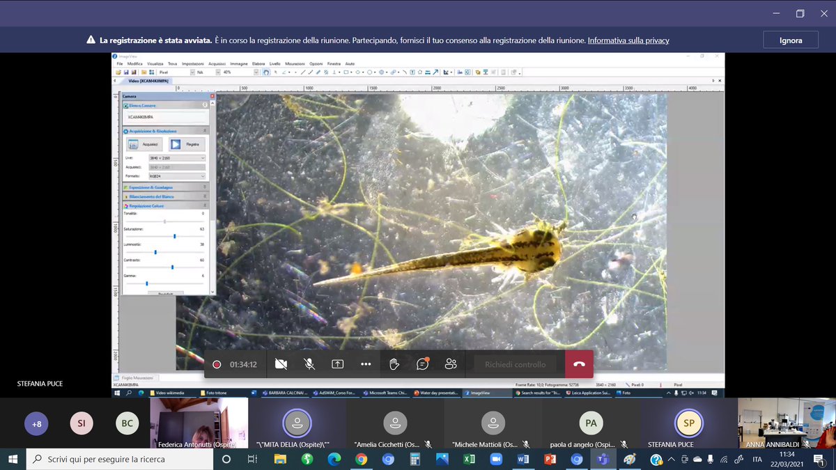 AdswimProject's tweet photo. March 22. #WorldWaterDay #ValueWater What is hidden in different kinds of water drops๐ง? Thanks to researchers from @UnivPoliMarche and ๐ฉโ๐ฌMicroscope #Adswimproject labs we are discovering seabears, protozoa, hydra, sea snails, newt larva directly oline with primary schools today! https://t.co/uYHMDQnnCu