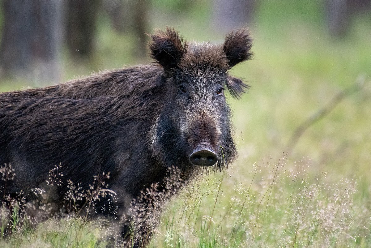 Vandaag belt <a href="/radiovandijk/">Frank van Dijk</a> met <a href="/vvvnunspeet/">nunspeetuitdekunst</a> die heeft gekozen voor de foto's van Peter Ponsteen, Margrieta Timmer en Anthonia Gordijn. Hun foto’s worden straks als ansichtkaarten verkocht ! #ietsleuks