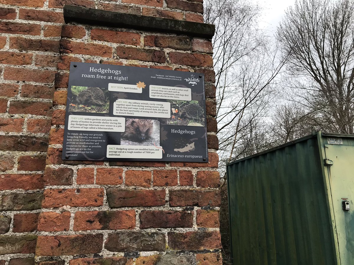 cainscrimgeour's tweet photo. Exceptional work by Wildlife Society students and campus staff continuing to #rewild our @CumbriaUni Brampton Road campus in Carlisle. The first of the new interpretation signs, and new Tree Sparrow colony boxes have gone up this week. Swift boxes to come soon! https://t.co/y9BfPkVO6A