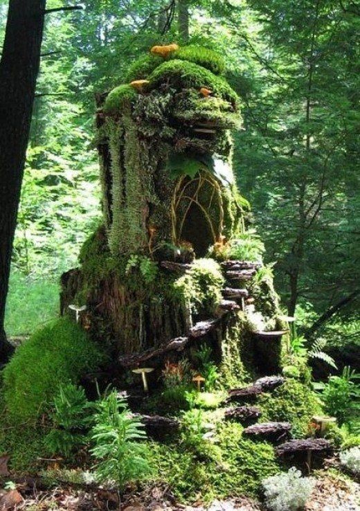 rainbow_explode's tweet photo. 🌿✨ so magical ✨🌿 https://t.co/CW2QL2fUyr