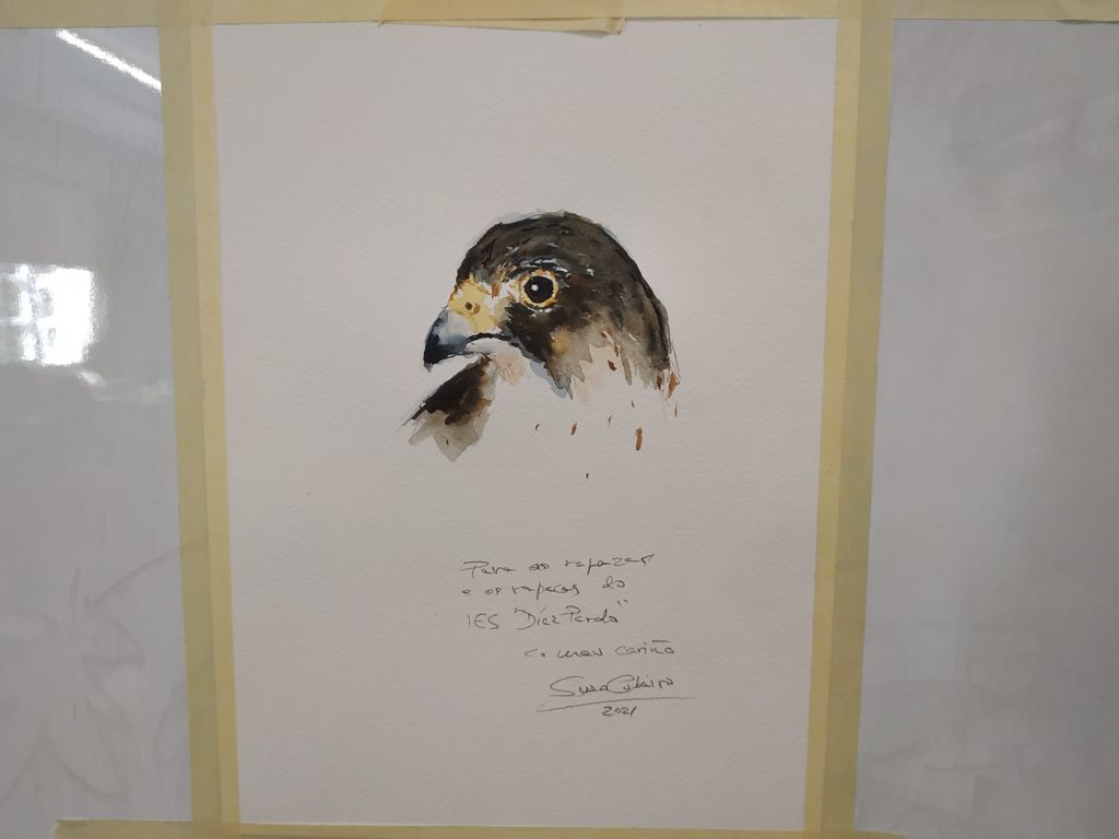 RBMarinas's tweet photo. Hoxe levamos a cabo, no centro educativo IES Isaac Díaz Pardo do #ConcellodeSada, un Taller de Ilustración da Natureza, na que colaborou o 🎨 ilustrador local Suso Cubeiro.
Como podedes comprobar nas 📸 imaxes, deixou un agasallo para a comunidade educativa deste instituto! 👏 https://t.co/tHYBLulIyS