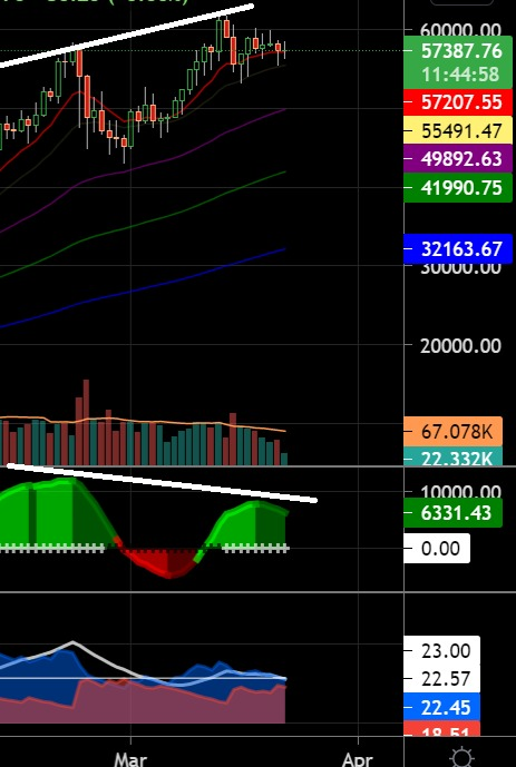 Berk Georg tweet media