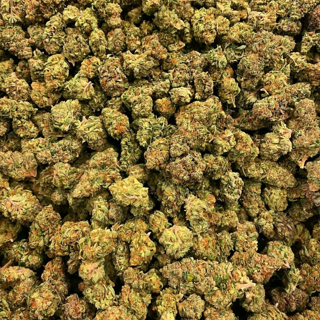 somaipharma's tweet photo. 🧪🔬🥼Our Monday Vibes💚
Uniformity & Consistency is key providing top quality medicine& products you can rely on
#cannabis #medicalcannabis #cannabisindustry #cannabisculture #cannabislife #cannabislove #cannabisextraction #thcextraction #thc #thcdistillate #thcisolate https://t.co/WQ9sgi4QFh