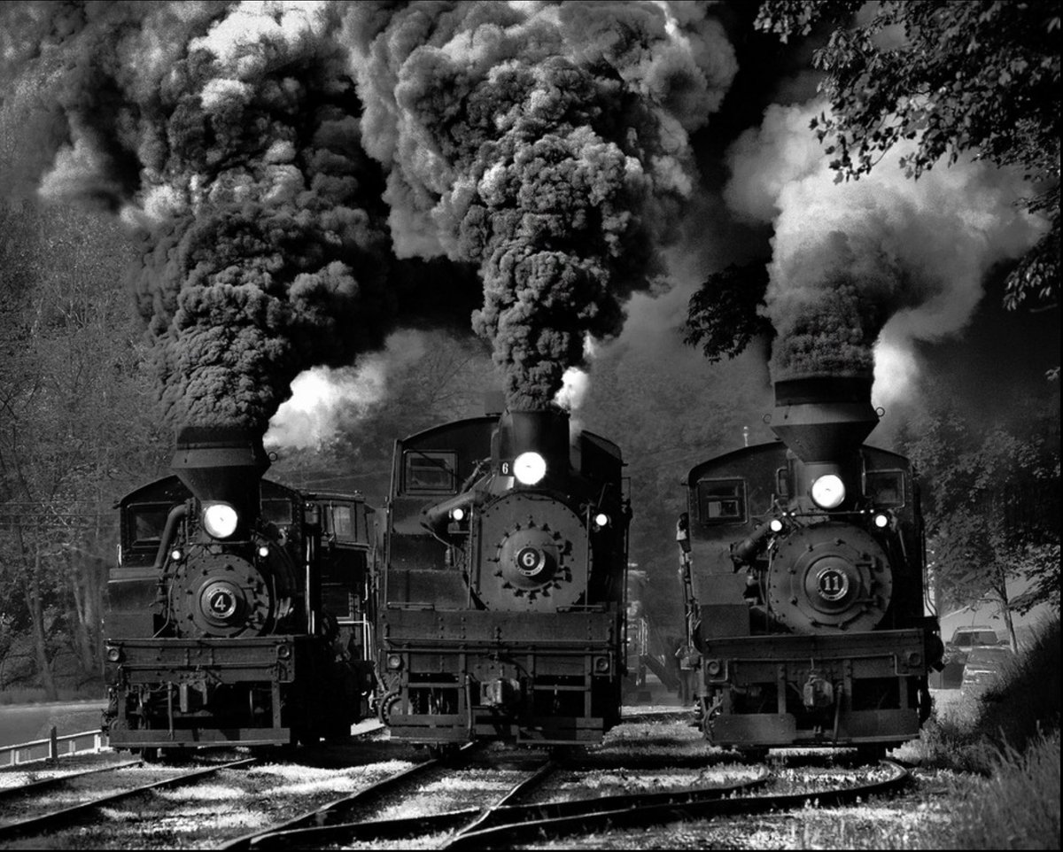 Train Race #photo  #PHOTOS  #TRAIN