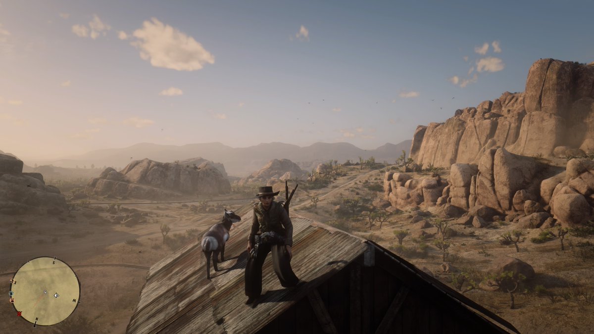garethpidgen's tweet photo. #PS5Share, #RedDeadRedemption2 https://t.co/GTOMDHIkpJ