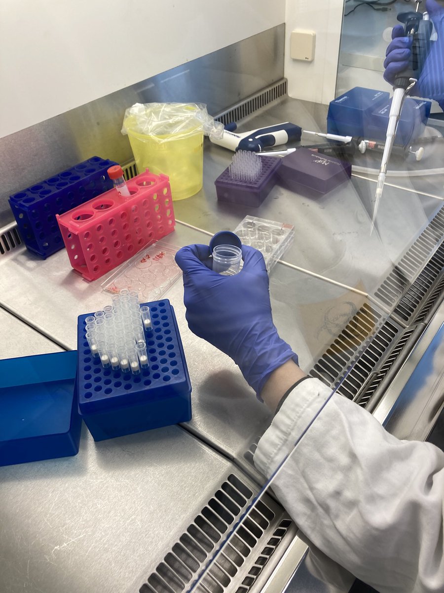 LineMarie Christiansen tweet media