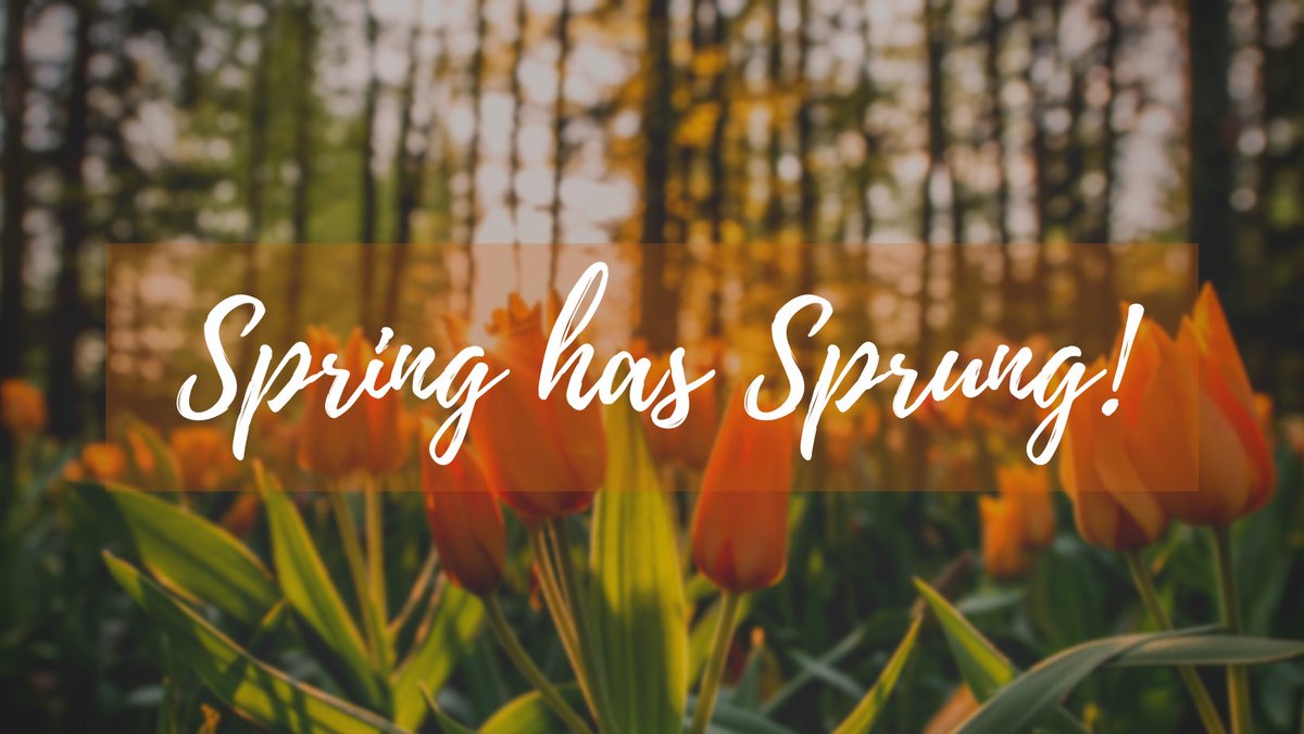 USICareers's tweet photo. The best time for new beginnings is now! Let USI Career Services help with your beginning for the future. We provide many services such as resume revision, mock interviews, and more. Make an appointment on MyUSI or calling our office, today! #USICareers https://t.co/ylaM8qRFZ4