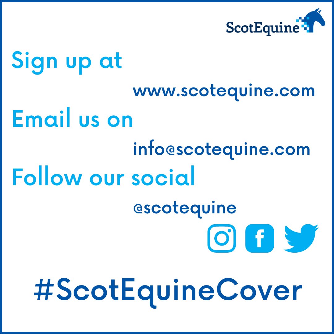 ScotEquine tweet media