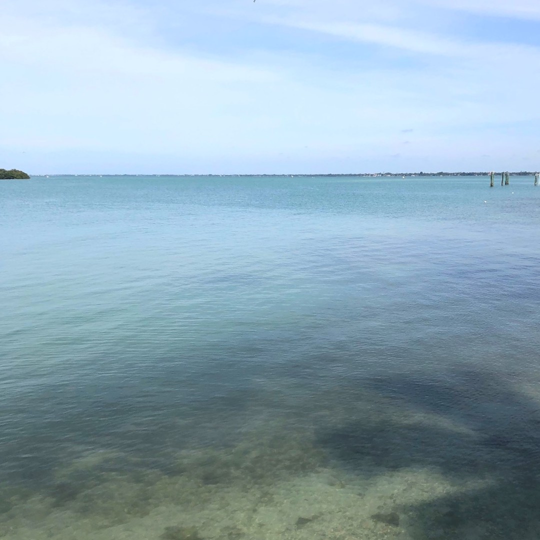 BrowardEnv's tweet photo. Although #BrowardCounty has been celebrating #WaterMattersMonth all of March, today is #WorldWaterDay 🌎 What does water mean to you?
#savewater 💧 https://t.co/cniLq3GOSU