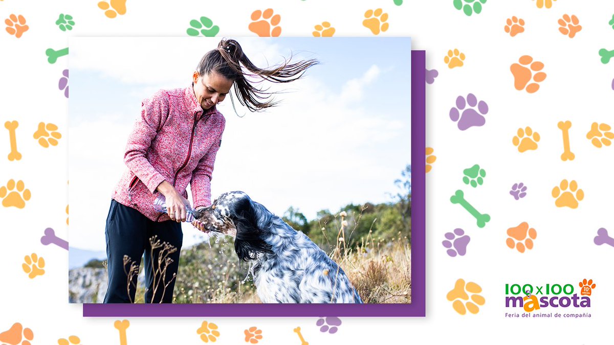 100x100mascota tweet media