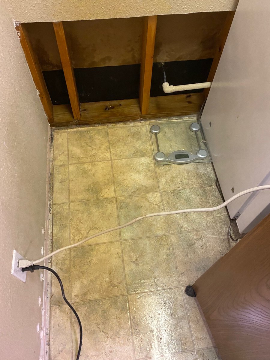 Mold can grow almost anywhere. All it needs is some moisture and the right temperature.