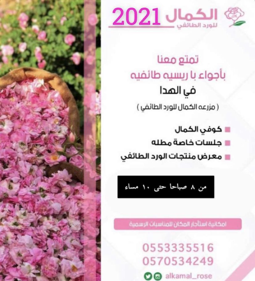 ورد الكمال الطائفي alkamal rose twitter