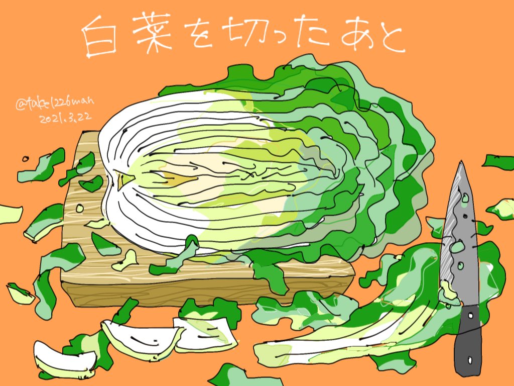 「白菜を切るとまな板の周りが散らかる。キャベツも。 」|GAOのイラスト
