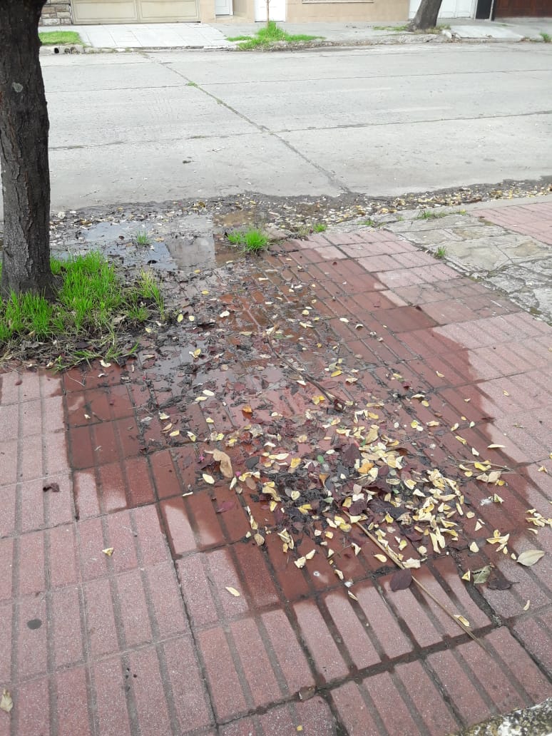 En el día mundial del agua es una lástima que se derroche tanto de este recurso tan importante. Así esta la vereda de mi casa, juro que hicimos mil reclamos a Obras Sanitarias pero desde fines de Enero que estan por ir. Perdón a los vecinos