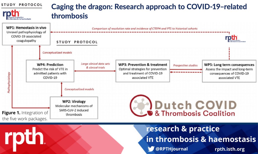 RPTHjournal's tweet photo. With a clinical database of 5000 patients admitted to hospital with #COVID19 &amp; 3000 biospecimens collected, a Dutch consortium hopes to answer many important questions to improve our understanding of the disease. These are highlighted here at #RPTH: https://t.co/oIYsng0W59 https://t.co/vA9q5fbIcR