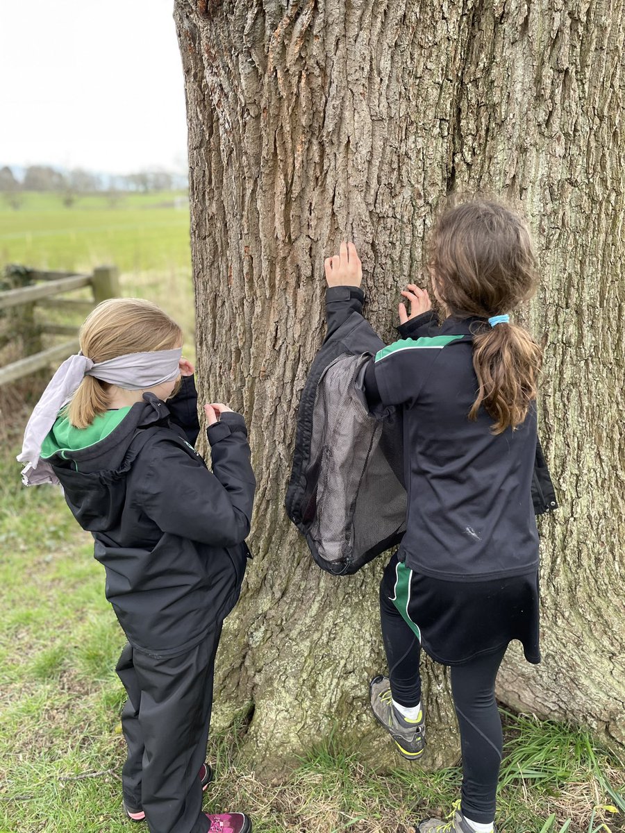MissJames_HISB's tweet photo. Research suggests being in nature, or even viewing scenes of nature, reduces anger, fear, and stress. Exposure to nature not only makes you feel better emotionally, it contributes to your physical wellbeing. #LTTO
@MyddeltonColl @Myddelton_Prep @MyddeltonColAOE https://t.co/djEDwVu1YH