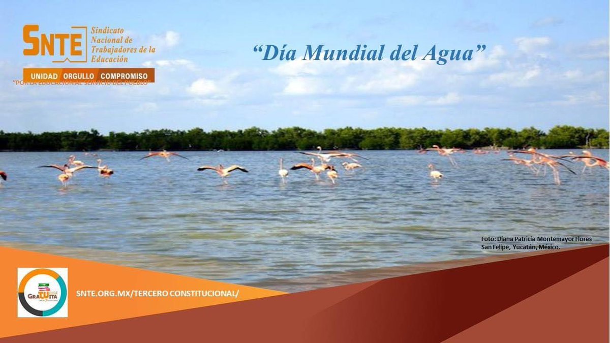 Vigencia3Const's tweet photo. #DiaMundialDelAgua
#UnDiaComoHoy
22 de diciembre de 1993.- La Asamblea General de las Naciones Unidas adoptó el día 22 de marzo, de cada año, como el Día Mundial del Agua.

#SNTE
#TodosSomosUno
#CuidemonosEntreTodos
#TodosSomosUno
#quedatenecasa https://t.co/J3gbSNGzQ0