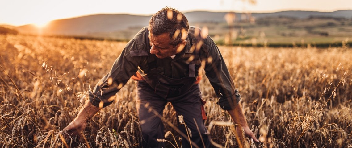 pessiblesse's tweet photo. Agriculteur                 Akhyculteur https://t.co/Ng3CceBbRP