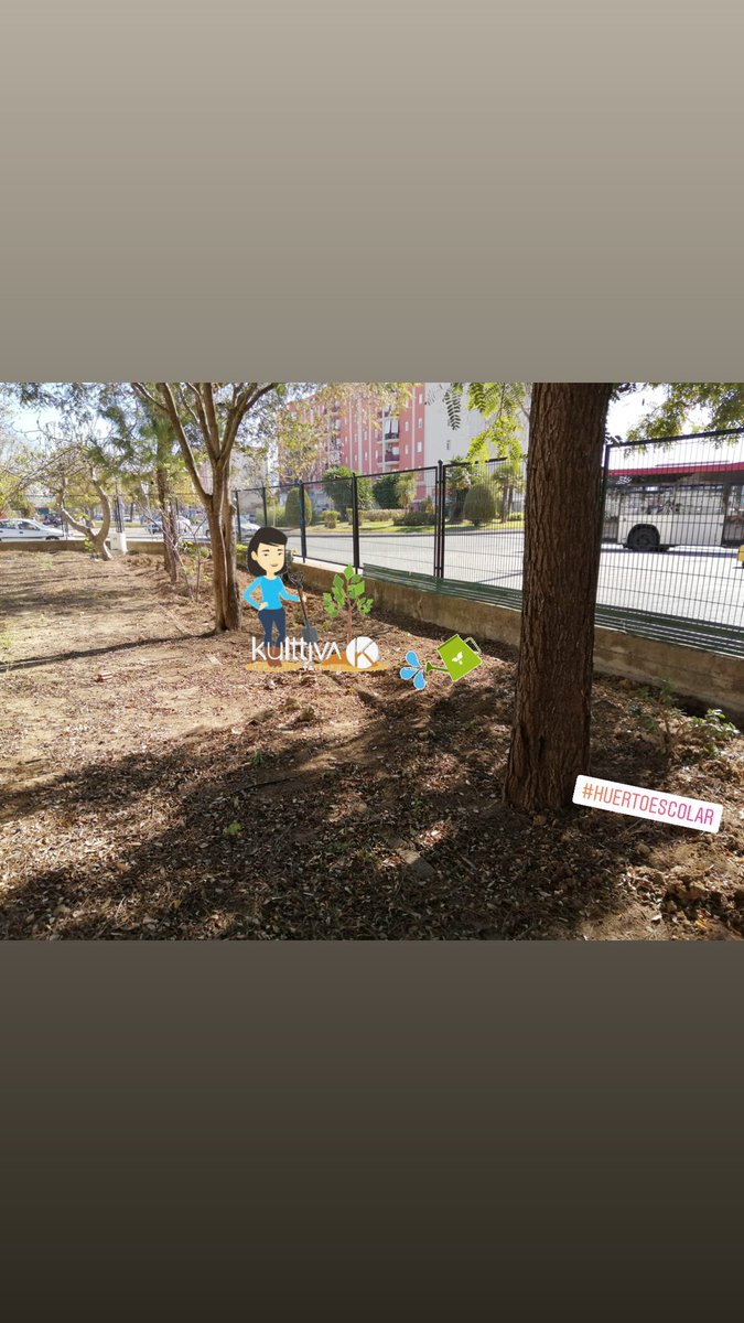 programaaldea's tweet photo. @CEIPLasGranjas🏘️. Dando forma a un nuevo proyecto: AULA DE LA NATURALEZA 🌍Y HUERTO ESCOLAR.🌿
@EducaAnd @ProInnoAnd @AdeacFEE @esenred21 #ProInnovaAnd #ProInnovaAldea https://t.co/AwvpAwx4xO