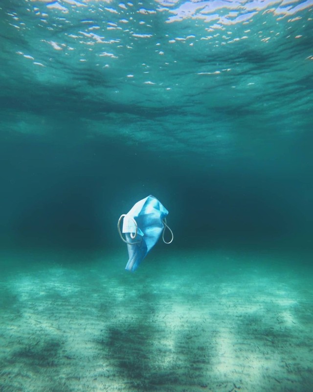 padiaware's tweet photo. After a year of face masks to protect ourselves from #COVID19, divers report significant growth in disposable masks through #DiveAgainstDebris surveys.
https://t.co/zX3Ent8Hqn

📸 @ChanqueteDavid

#COVID19litter #EveryDiveaSurveyDive #TogetherAWARE #UglyJourneyofourTrash https://t.co/1IfG8tGVdc