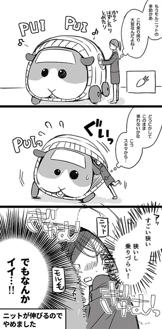 最終回前に前回ネタのモルカーまんが
あの改変された世界だと寒くなるとニットを着せるという冬用タイヤ的な扱いになっているのではないだろうか…と思った 