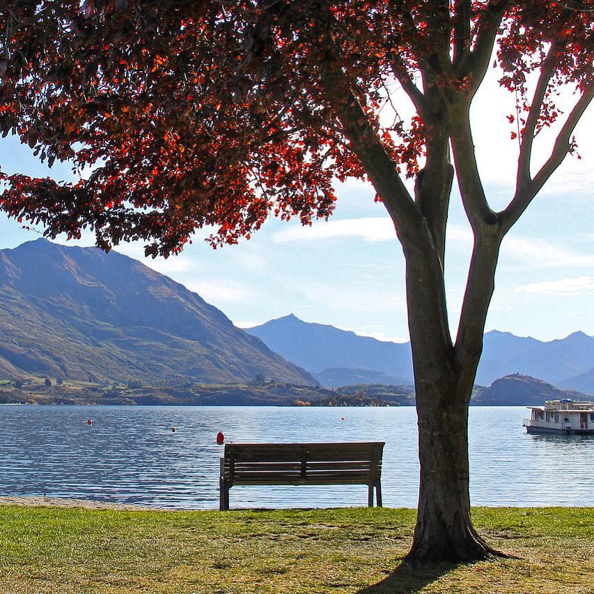TLWCexperience's tweet photo. We’ve got the perfect spot to admire the panoramic views of Lake Wanaka 💙😍
.
.
#igdaily #igtravel #travel_captures #traveldiaries #travelbug #travelingram #southisland #nzmustdo #travelgoals #newzealand #travel #wanderlust #bucketlist #beautifuldestinations https://t.co/Eqwov2KyNE