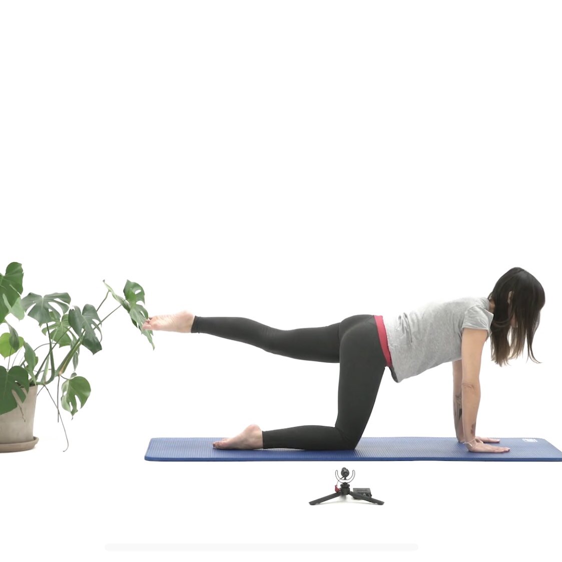spring_pilates's tweet photo. In qualsiasi momento abbiate voglia di provare le nostre video lezioni on demand, vi regaliamo 14 giorni per conoscerci, senza nessun obbligo di proseguire. Basta chiedere in dm :) https://t.co/0ffacrzNGb