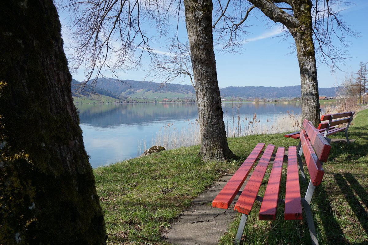 Oberägeri tweet media