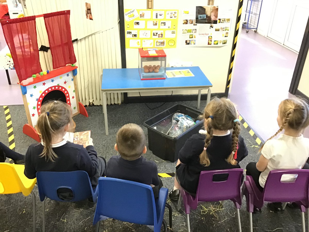 MrD_StHelens's tweet photo. St Helens Chick Update: Day 1

Today is the start of our time hatching chicks! 

10 eggs
0 chicks
30 eager children

#StHelensChickdate 

@AETAcademies @StHelensAcademy @HeadofSchoolSH @StHelensExecHT @MrsE_F2StHelens https://t.co/TfHtjuJXkf