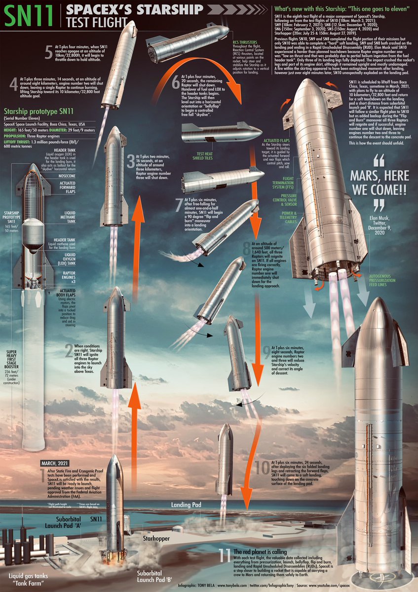 InfographicTony's tweet photo. Static fire test completed this morning, if/when SpaceX are happy with the results we could see a test flight of SN11 any time over the next 3 days. This is a step-by-step infographic on how it should play out. https://t.co/zdLLKPiwkB
