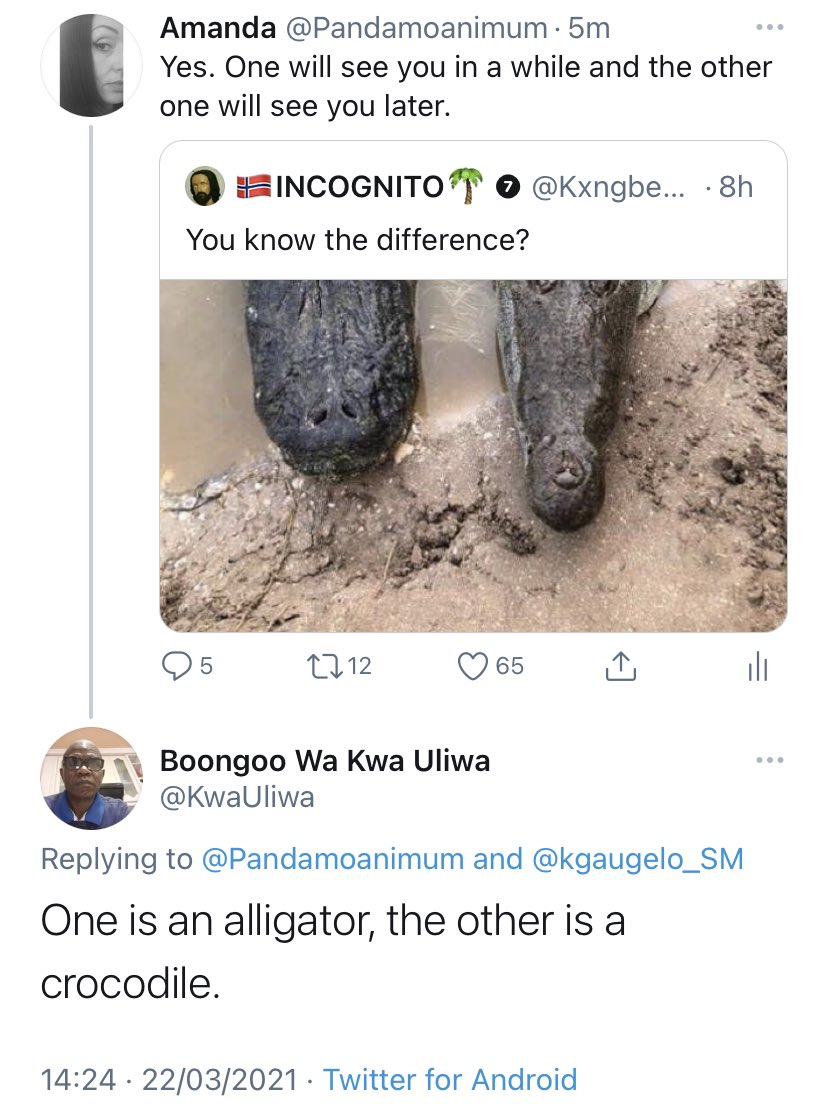 Honestly don’t know how I’d get through life without men on Twitter to help me out.