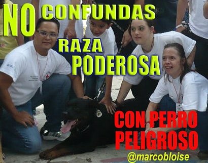 Un  recuerdo de Kaiser con los amiguitos de <a href="/CruzrojaVal/">Cruz Roja Valencia</a> del programa somos diferentes pero no Inferiores.
Verdaderas acciones inclusivas.
#DiaMundialDelSindromeDeDown #DiaMundialDelSindromeDeDown #PerrosPotencialmenteAmorosos
#noaladiscriminacion