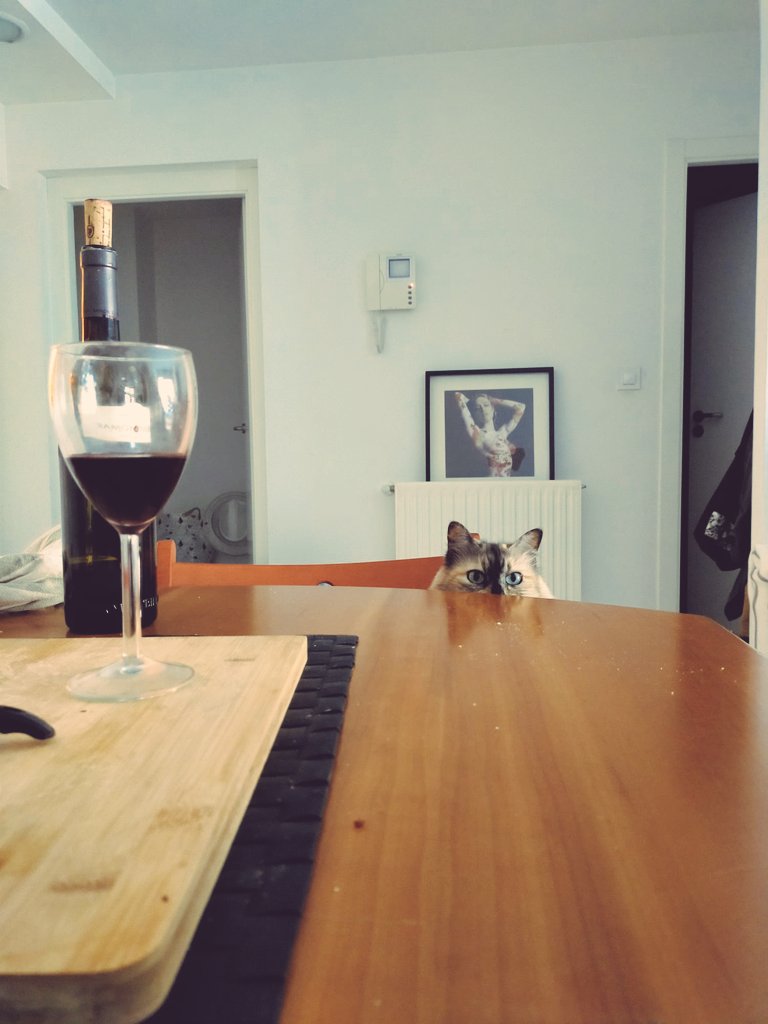 Fridaren Koshida lata kirastun erreserbek markatzen dute gure Mercadonarako bidaien tenpoa.