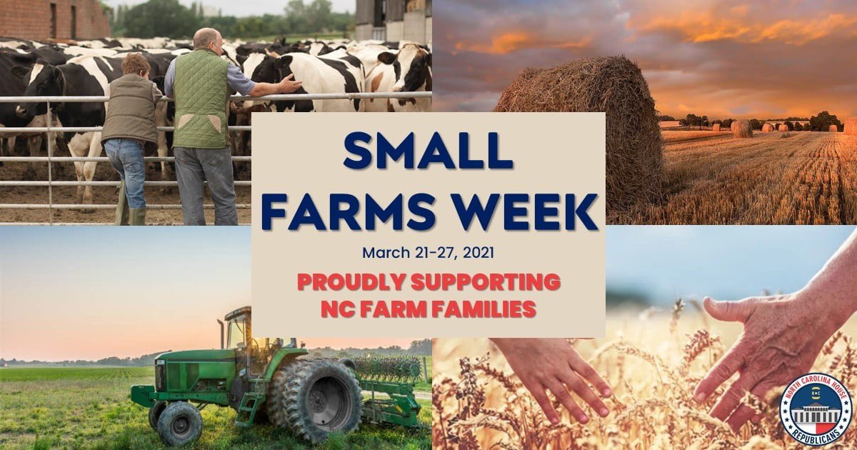 JohnBellNC's tweet photo. It's #SmallFarmsWeek! This week, we proudly recognize are small family farmers and thank them for their hard work in driving our state's economy and feeding the world! @NCAgriculture @NCATExtension #ncpol #ncga #ncag https://t.co/pXVgzz5DOf