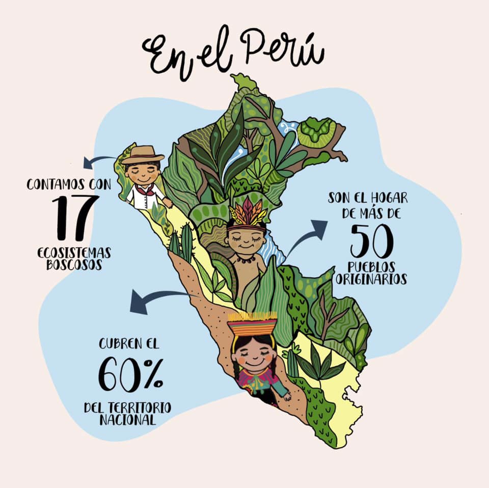 Perú es el segundo país con más bosques amazónicos en el mundo y son el hábitat de más de 50 pueblos originarios. Los bosques son fuente de vida. ¡Debemos trabajar juntos para proteger nuestros bosques! #DíaInternacionalDeLosBosques
