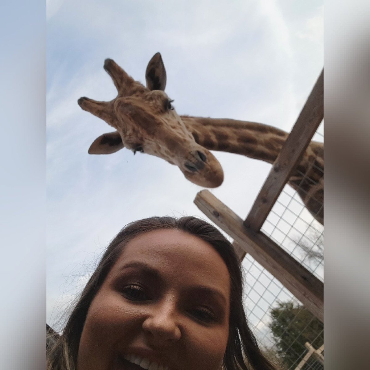 _GraceCobb's tweet photo. #NewProfilePic https://t.co/vU8ytojAt8