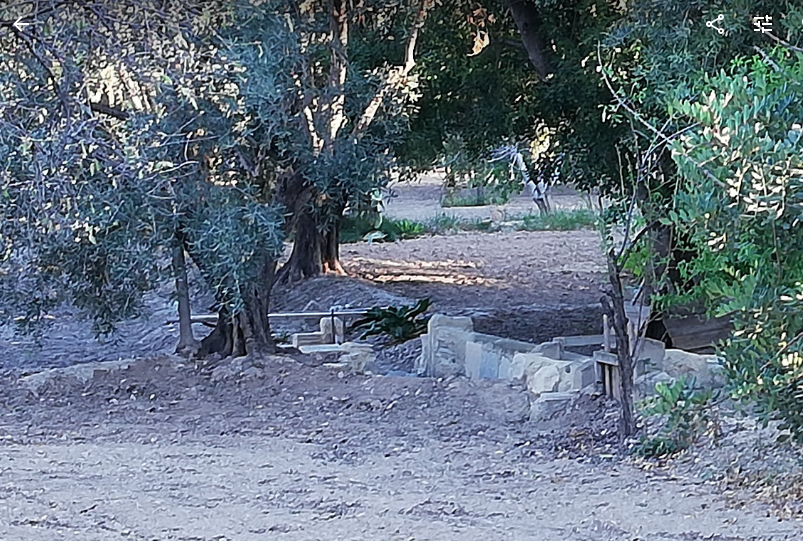 JorgePay1's tweet photo. Aunque escasas, todavía es posible encontrar algún brazal y #filloles junto a #Mutxamel y #SantJoan.
Incluso algún partidor con sus #canets y el #partiordemaera (tablacho en otros sistemas de riego) dentro de los #galzes.
Pero queda poco. Muy poco. Y todo apunta a lo peor.
👉 https://t.co/OwE5llv4BW
